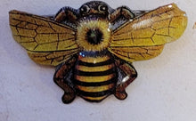 Indlæs billede til gallerivisning Ældre Badge mount set med insekter og nogle løse