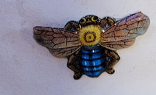 Indlæs billede til gallerivisning Ældre Badge mount set med insekter og nogle løse
