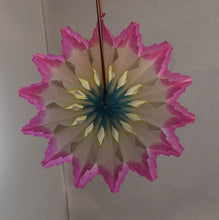 Indlæs billede til gallerivisning Gamle solifter 5 - 12 cm i diameter