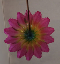 Indlæs billede til gallerivisning Gamle solifter 5 - 12 cm i diameter