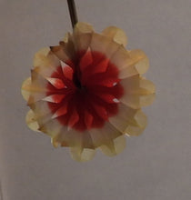 Indlæs billede til gallerivisning Gamle solifter 5 - 12 cm i diameter