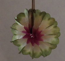 Indlæs billede til gallerivisning Gamle solifter 5 - 12 cm i diameter