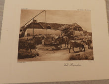 Indlæs billede til gallerivisning Gamle sort hvid billeder på karton med tekst på