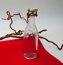 Indlæs billede til gallerivisning Gamle glasflasker