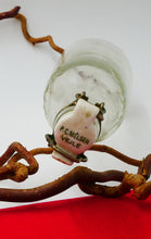 Indlæs billede til gallerivisning Gamle glasflasker