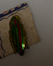 Indlæs billede til gallerivisning Ældre Badge mount set med insekter og nogle løse