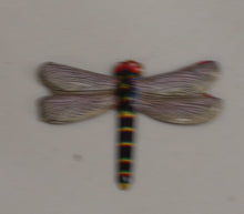 Indlæs billede til gallerivisning Ældre Badge mount set med insekter og nogle løse