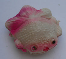 Indlæs billede til gallerivisning Legetøj celluloid fisk mm