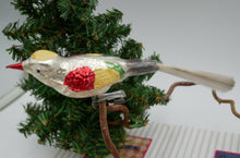 Indlæs billede til gallerivisning Fine gamle fugle glaspynt til juletræ forskellige farver