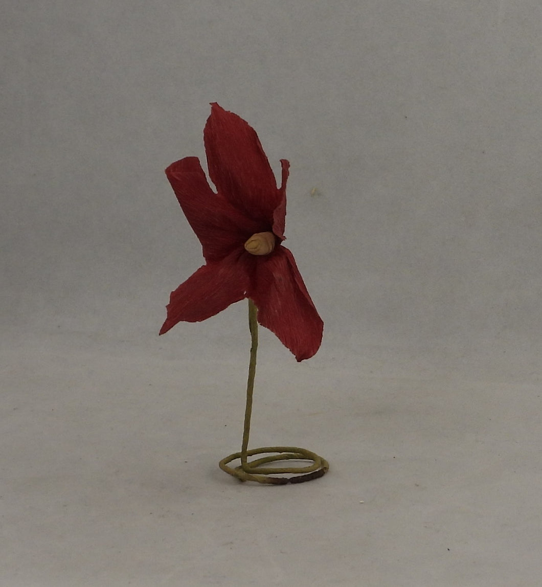 Lille julestjerne blomst fra 1940´erne