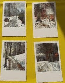 4 Postkort med skovsti og sne