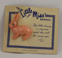 Indlæs billede til gallerivisning The little miss brooch dyr kan bevæge øjnene
