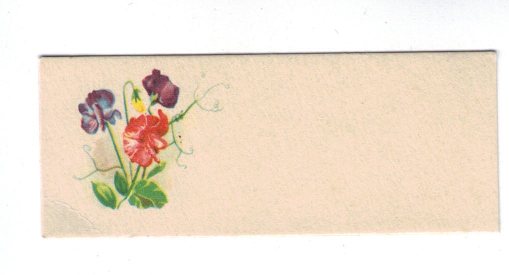 10 Gamle bordkort med blomst 5.