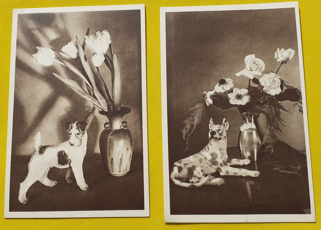 2 gamle postkort med hund