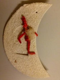 Gammel nisse på månen