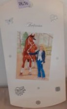 Sangskjuler stor æske pige med hest.