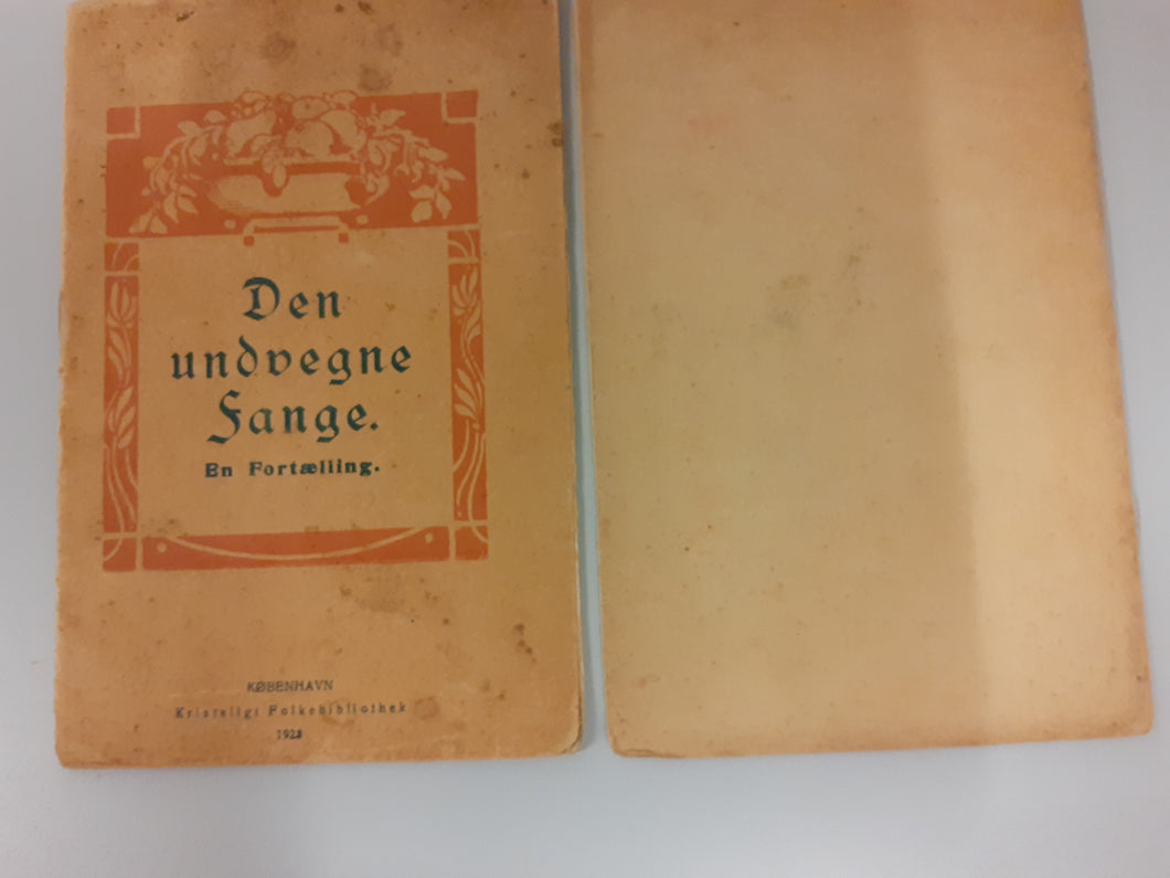 Den undvegne fange