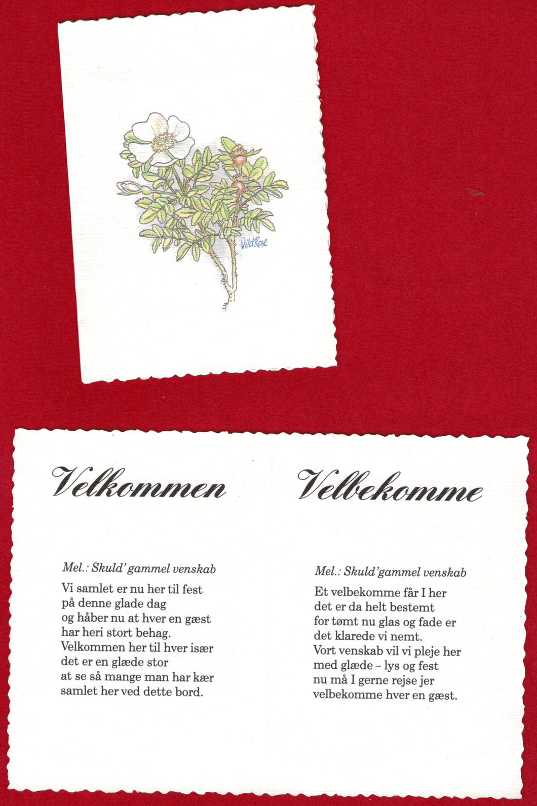 Velkomst og velbekomme sang med blomster
